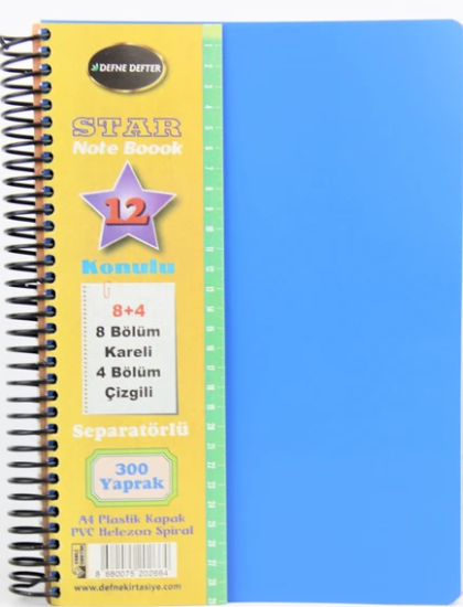 Defne Star Spiralli A4 Plastik Kapak Ayraçlı Defter 9 Kareli+3 Çizgili 300 Yaprak